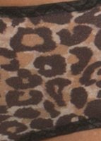 Gossard Glossies Leopard Short Animal Print