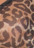 Gossard Glossies Leopard Moulded BH Animal Print 85 F