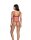 Gossard Lace Push-Up BH Vivacious