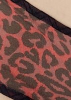 Gossard Glossies Leopard Short Black/Red