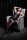 Jenny-Bell Transparency Kleid schwarz SM-75B-C, 80A-B